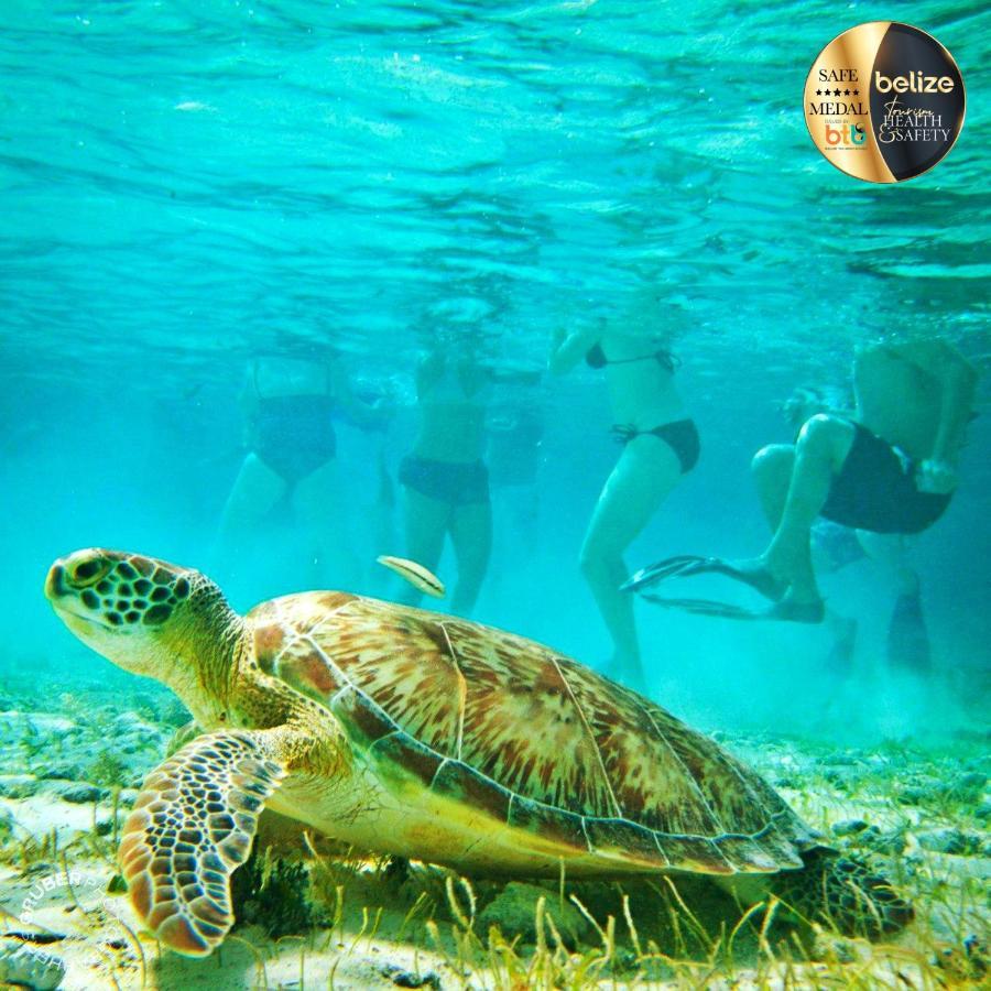 Portofino Beach Resort-An Authentic Island Escape! San Pedro  Εξωτερικό φωτογραφία